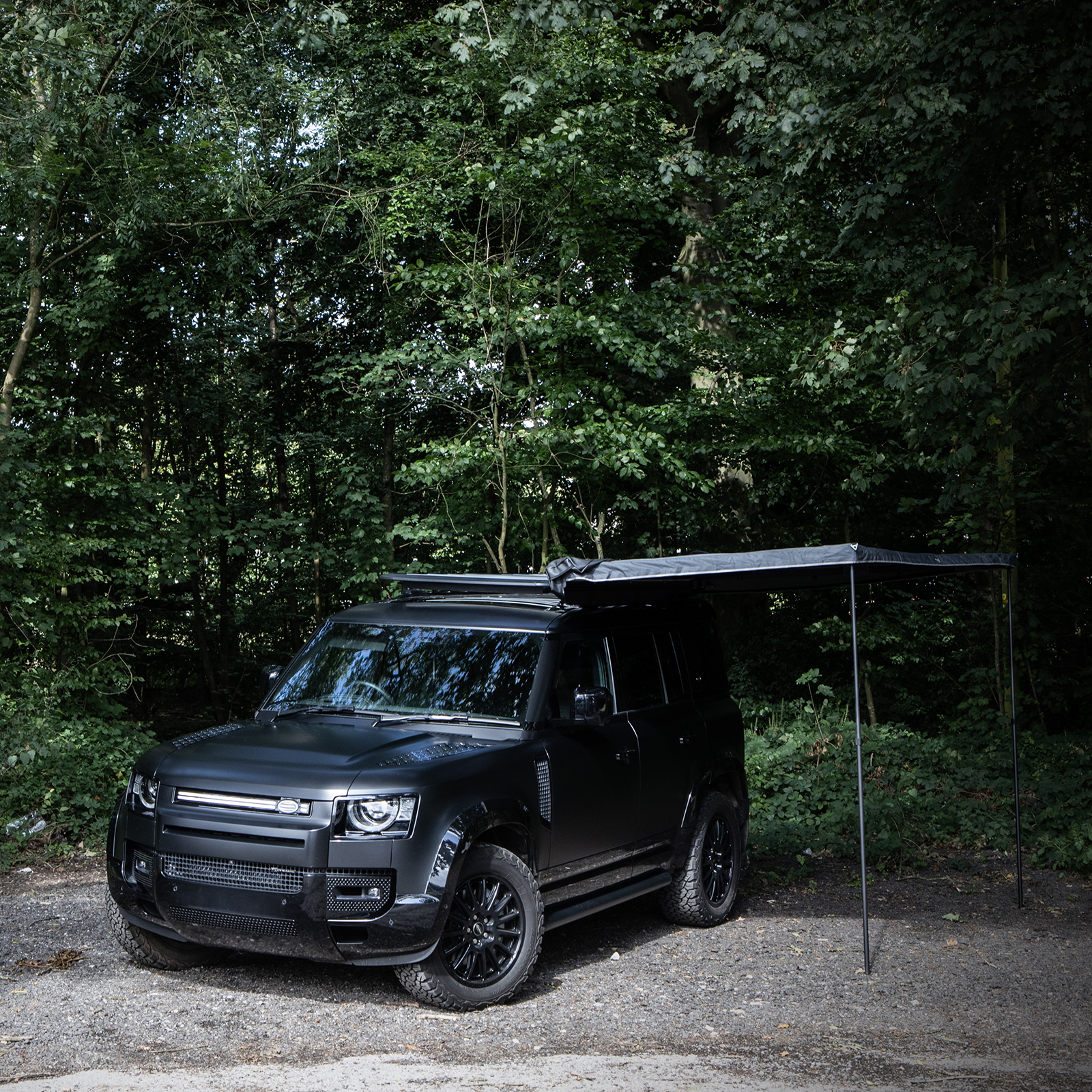 Predator Expedition