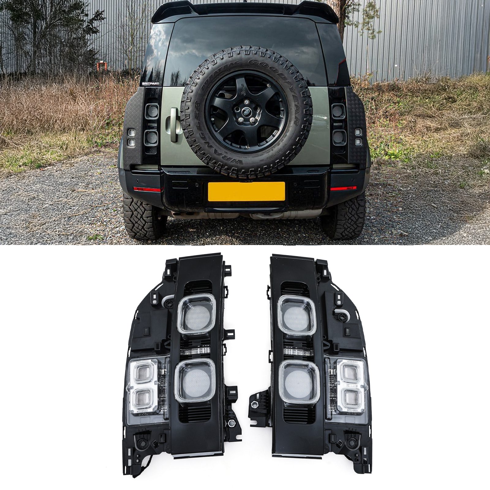 Predator Rear