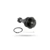 Pedders Lower Ball Joint Ford Ranger PX, 4WD 2011-2015