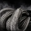 DNA4X4 30ft kinetic recovery rope