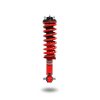 Pedders Front Standard Height Adjustable Complete Strut Assembly Volkswagen Amarok 2.0 Turbo MK2 2023-Onward