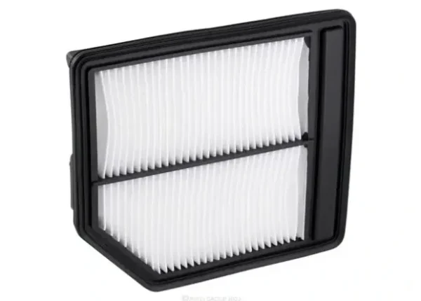 Ryco Air Filter for Audi A8, Honda Civic, Honda Crossroad & More