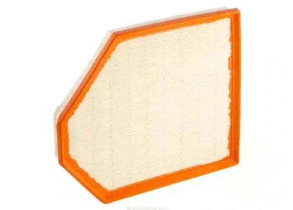 Ryco Air Filter for BMW X3, BMW X4