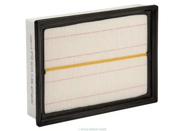 Ryco Air Filter for MG HS