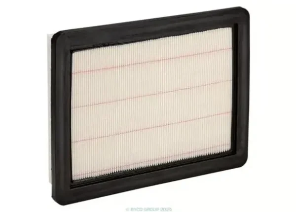 Ryco Air Filter for MG GS, MG HS