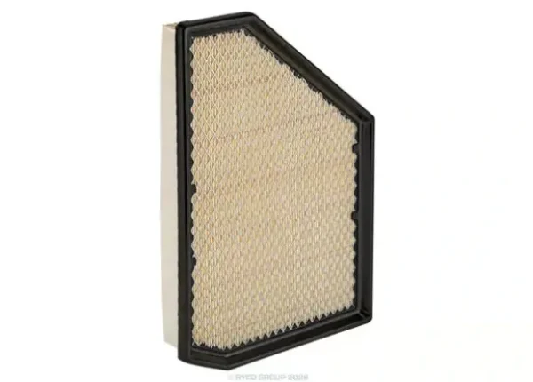 Ryco Air Filter for BMW X5, BMW X6, BMW X7 & More