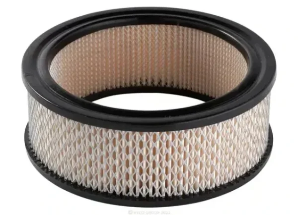 Ryco Air Filter for Renault 16