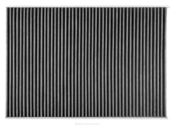 Ryco Activated Carbon Cabin Filter for Mercedes-Benz Sprinter, Renault Latitude, Volkswagen Crafter & More
