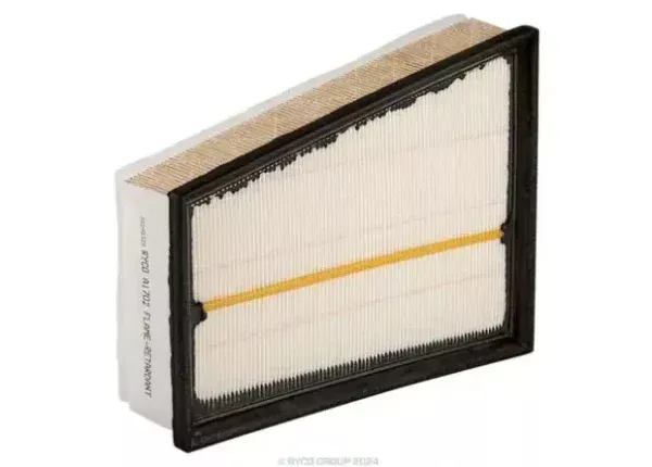 Ryco Air Filter for Renault Grand Scă‰Nic, Renault Kangoo, Renault Laguna & More