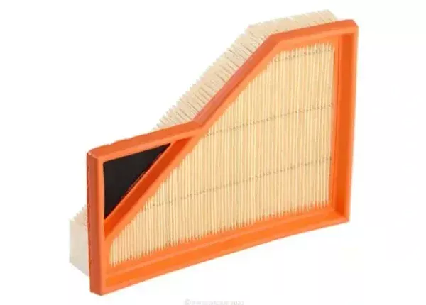 Ryco Air Filter for MINI MINI – Length 217.00 mm, Width 165.00 mm