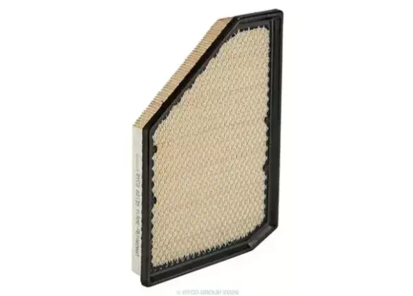 Ryco Air Filter for BMW X5, BMW X6, BMW X7 & More